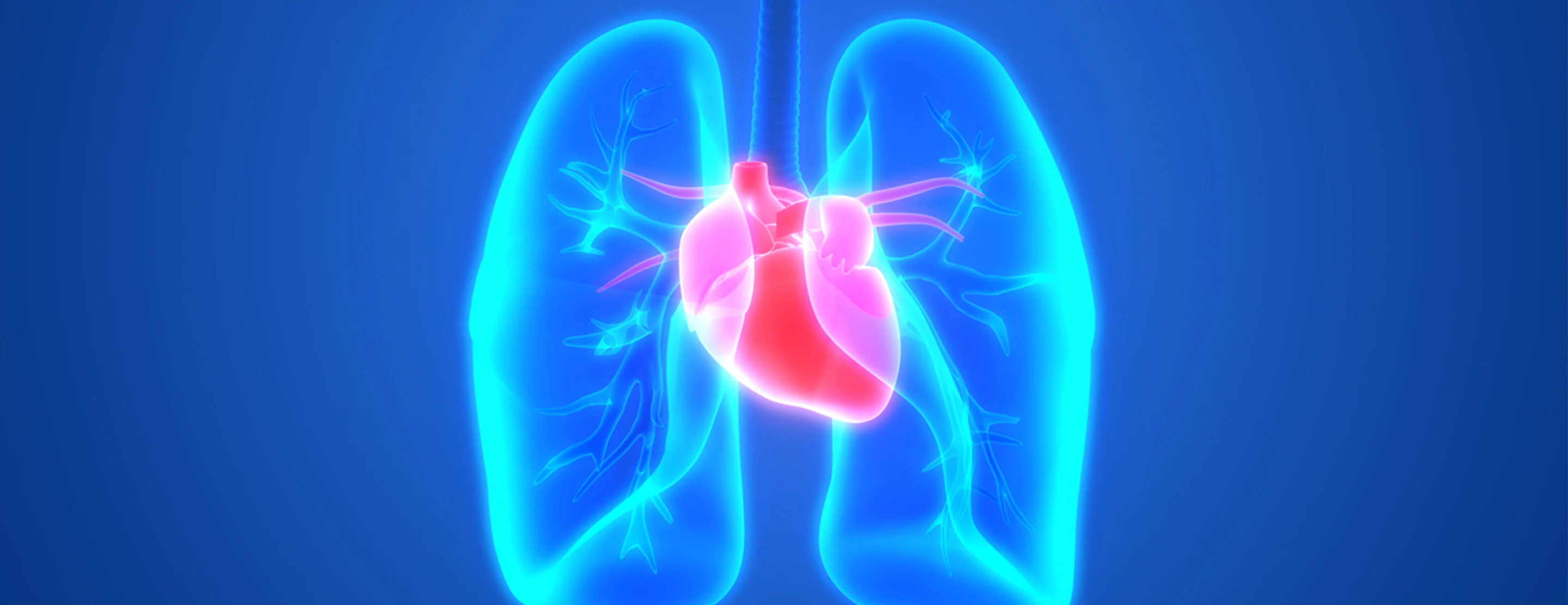 The Vital Connection Between Lung and Heart Health